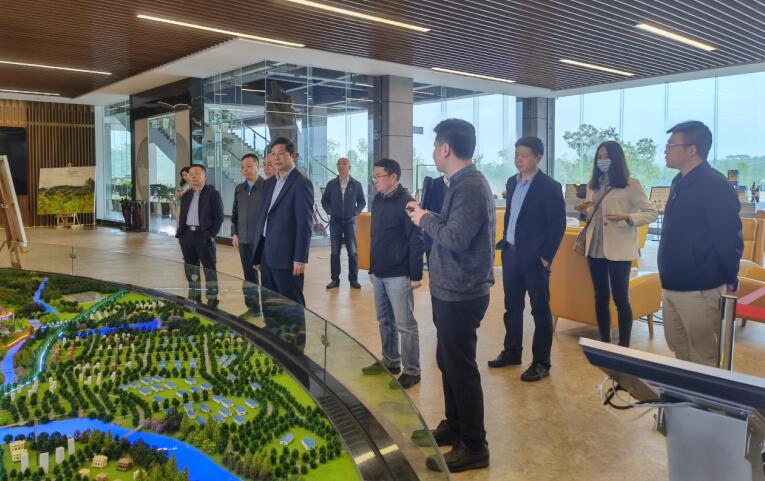 廣西旅發(fā)集團(tuán)黨委書記、董事長容賢標(biāo)考察集團(tuán)文旅項(xiàng)目