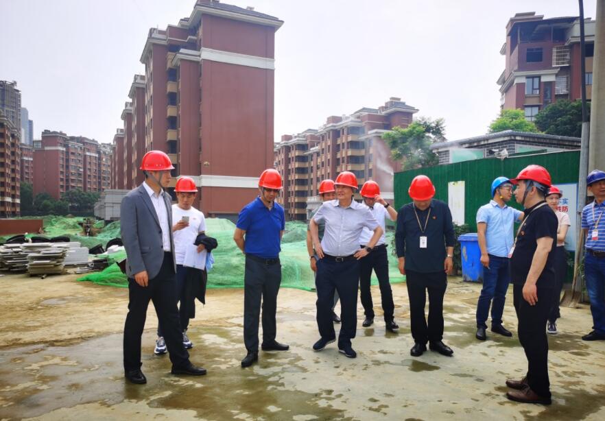 尊龍凱時集團(tuán)經(jīng)營提升年專責(zé)工作組 開展系列項目督導(dǎo)