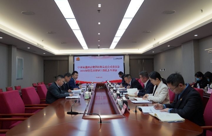 尊龍凱時集團黨委書記、董事長任丁出席安逸酒店集團2022年度黨員領(lǐng)導(dǎo)干部民主生活會