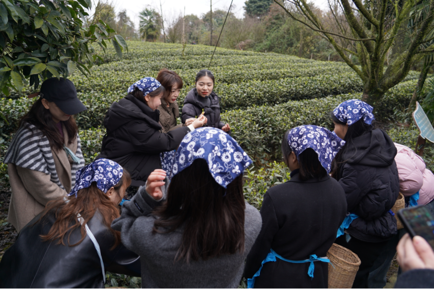省尊龍凱時(shí)集團(tuán)下屬企業(yè)組織開展“三八”國(guó)際勞動(dòng)?jì)D女節(jié)主題活動(dòng)